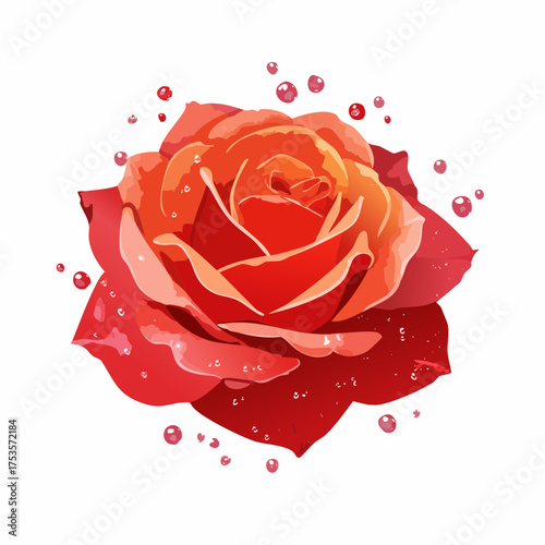 Rote Rose mit Tauperlen – klassisches Blumenporträt
