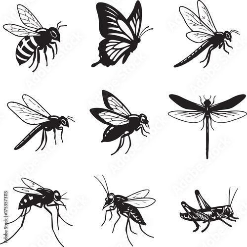 collection, butterfly, set, beetle, animal, nature, 