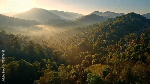 Aerial view of a misty tropical forest landscape during a warm sunrise scene