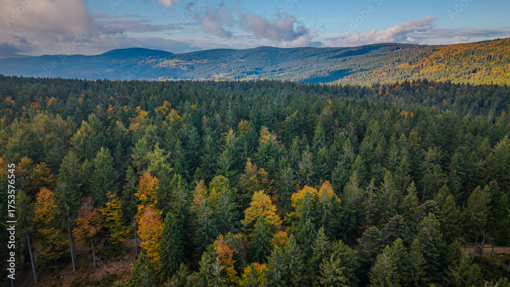 Fototapeta premium Herbstliche Waldlandschaft in den Bergen mit bunten Blättern und klarer Luft