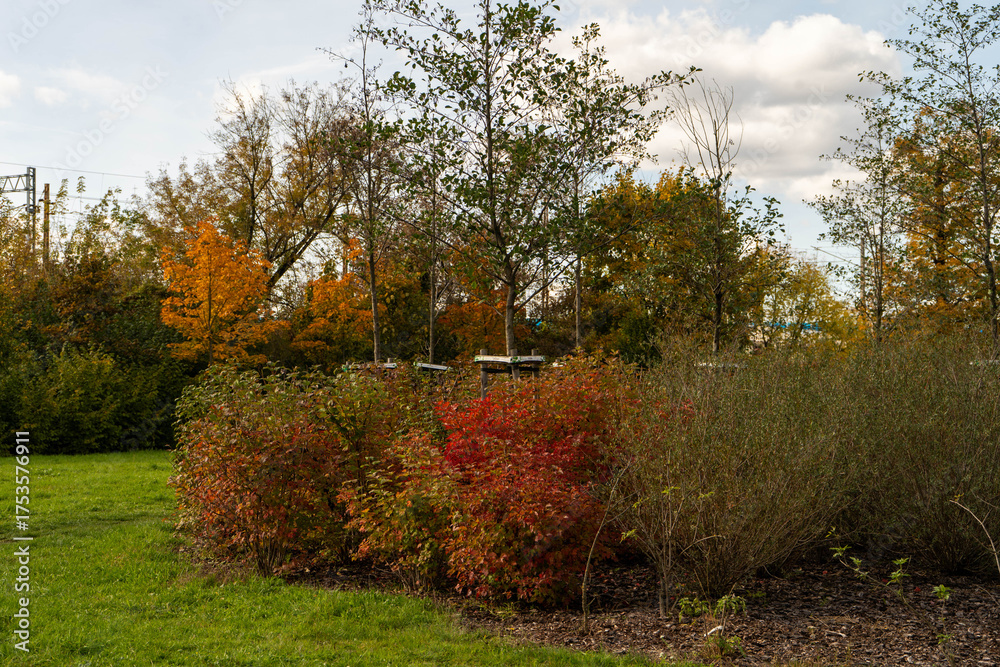 Fototapeta premium Tree Planting in City Park during Autumn, People Landscaping Green Urban Area, Environmental Care and Nature Conservation Concept