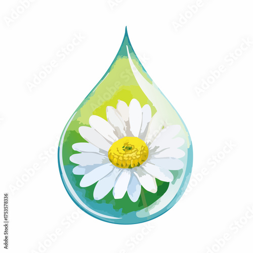 Gänseblümchen in Wassertropfen – feine Nahaufnahme