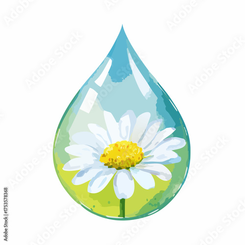 Gänseblümchen in Wassertropfen – feine Nahaufnahme