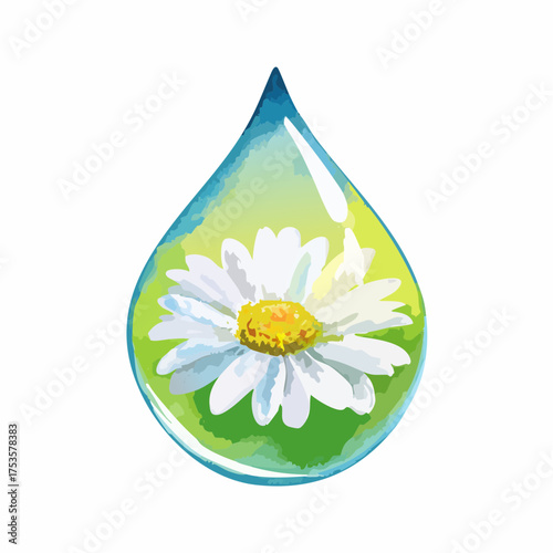 Gänseblümchen in Wassertropfen – feine Nahaufnahme
