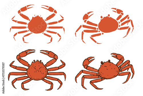 Snow crab Vector eps 10. background, perfect for wallpaper or design elements	