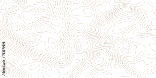 Luxury gold abstract topographic map background with golden lines  texture,  wallpaper design for fabric , packaging , web, geographic grid map vector illustration.