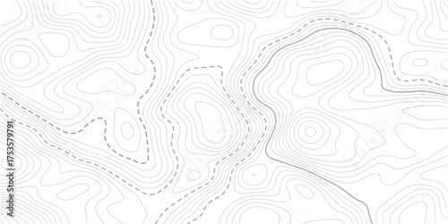 Luxury gold abstract topographic map background with golden lines  texture,  wallpaper design for fabric , packaging , web, geographic grid map vector illustration.