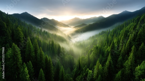 An awe-inspiring landscape showcasing misty mountains and soft sunlight breaking through, perfectly capturing the essence of tranquility, nature's beauty, and peacefulness.