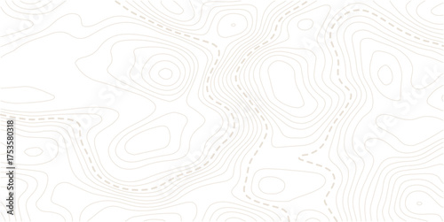 Topographic map background. Geographic line map with elevation assignments. Contour background geographic grid. Vector illustration.Seamless Light topographic topo contour map background.