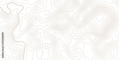 Luxury gold abstract topographic map background with golden lines  texture,  wallpaper design for fabric , packaging , web, geographic grid map vector illustration.