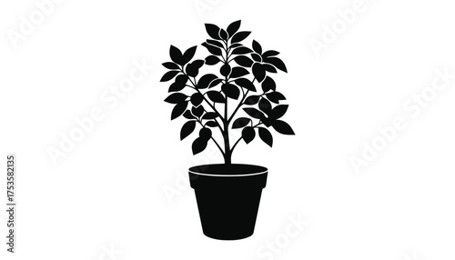 Vector art of silhouette of a potted plant with leaves and fruit
