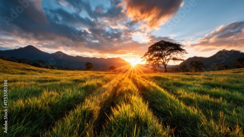 A breathtaking sunset casts golden rays over a lush green field, revealing a stunning mountain backdrop and evoking feelings of renewal and connection with nature.