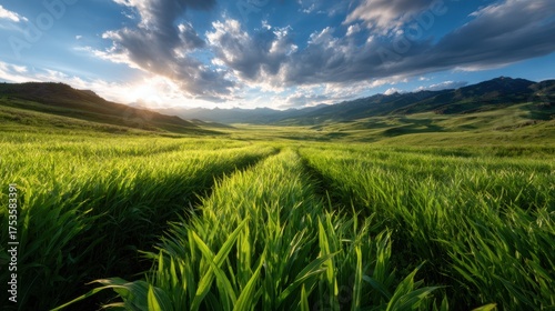 A breathtaking panorama of rolling green hills illuminated by the warm glow of the sun as it sets behind towering mountains showcases serene beauty in nature.