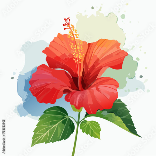 Hibiskusblüte in tropischer Farbenpracht