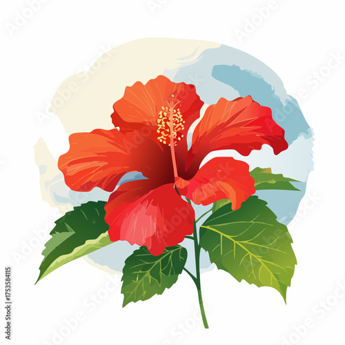 Hibiskusblüte in tropischer Farbenpracht