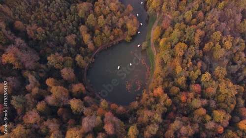 Aerial autumn view of a dense forest around Lake Parz in Dilijan, Armenia. Scenic view with boats on the water.