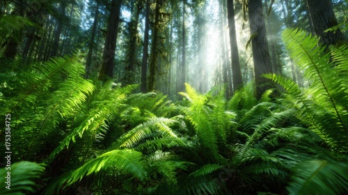 A mesmerizing scene depicting lush ferns dotted with sunlight filtering through the trees, capturing the essence of tranquility and the beauty of untouched nature.
