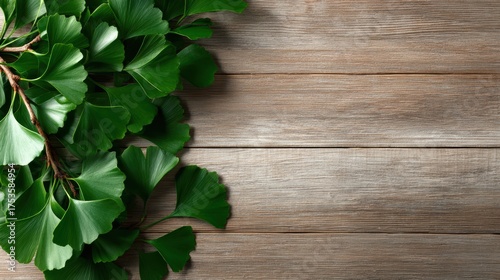 This image features vibrant ginkgo leaves elegantly placed on a rustic wooden surface, highlighting the beauty of nature in a serene and inviting setting. Perfect for natural themes.