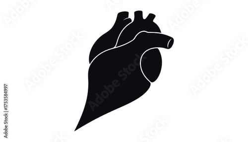Vector art of black anatomical heart silhouette