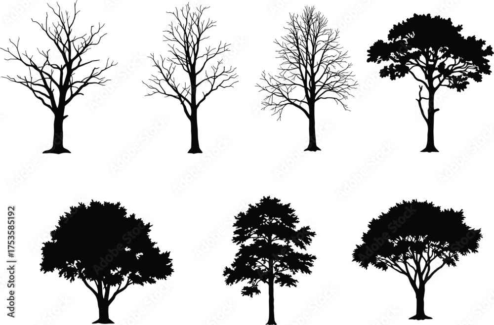 Obraz premium Tree silhouettes, bare branches, full canopy, seasonal diversity, botanical icons, nature shapes, black and white, landscape elements, tree forms