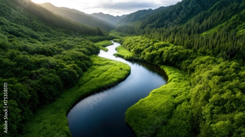 Experience the tranquility of nature with this stunning view of a winding river surrounded by vibrant green foliage and majestic mountains in the background, perfect for relaxation.