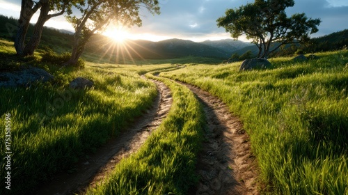 This picturesque landscape captures a winding dirt path in a lush green meadow, framed by trees and illuminated by the warm glow of the setting sun, inviting tranquility and reflection.