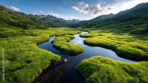 A serene river gracefully winds through a lush green landscape, capturing the tranquility of nature and the beauty of untouched wilderness in a stunning panoramic view.