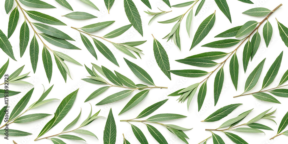 Fototapeta premium Seamless botanical pattern with fresh green leaves on a white surface. Perfect for packaging design, wallpapers, eco branding, textile prints, and natural backgrounds