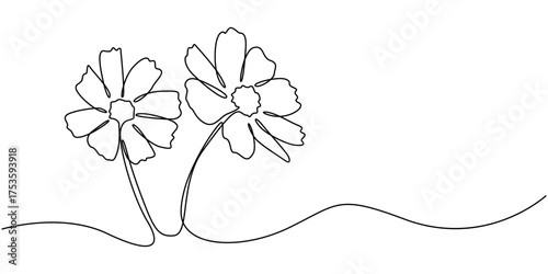Abstract cosmos one line drawing on white background. flowers line drawing, Black and white art, Continuous one single minimal line drawing Cosmos pro, Hand drawn floral elements.