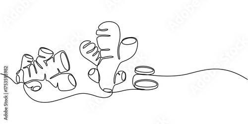 Ginger vector illustration. One line drawing art illustration organic ginger, Single one line drawing of healthy organic ginger for harvesting logo identity, Fresh flowering plant rhizome concept, 