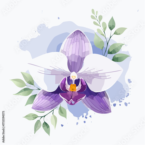 Orchidee in Violett und Weiß – edel und anmutig