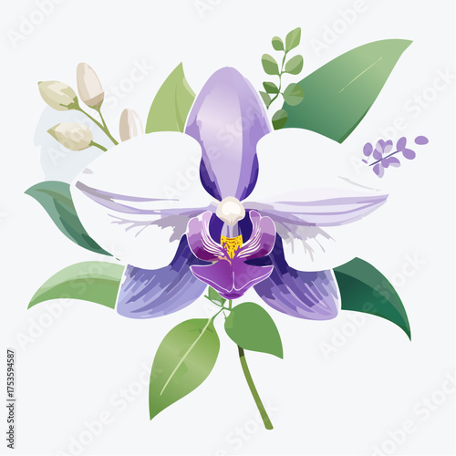 Orchidee in Violett und Weiß – edel und anmutig