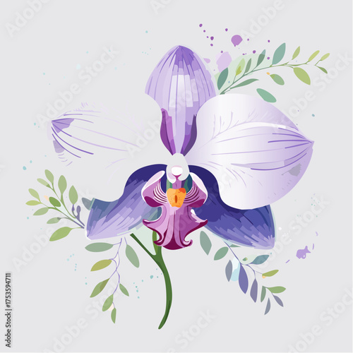 Orchidee in Violett und Weiß – edel und anmutig