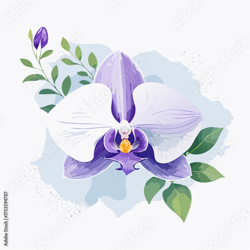 Orchidee in Violett und Weiß – edel und anmutig