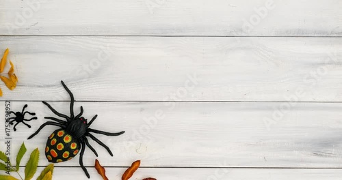 Halloween composition with spiders, bats and fallen colorful leaves on white wooden background with place for text. 4K looped stop motion animation