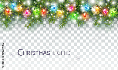 Border with green fir branches, colorful lights isolated on transparent background. Pine, xmas evergreen plants banner. Vector Christmas tree garland