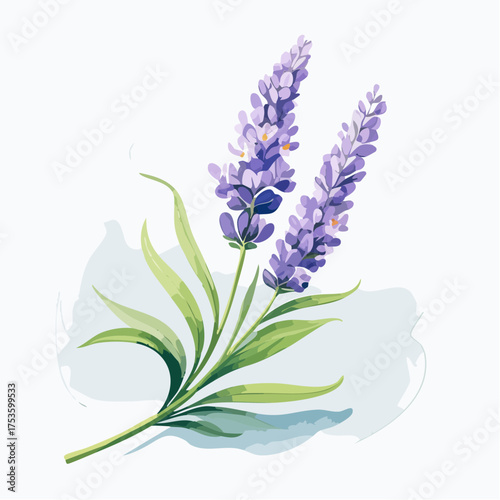 Lavendelzweig mit sanftem Farbverlauf