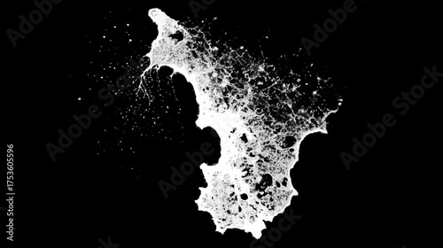 Abstract White Splatter Texture on Black Background - High Contrast Graphic Design Element with Organic Spread Effect