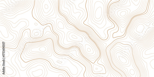 Topography and geography map grid abstract backdrop. Business concept. Fish Fillet Texture, Salmon fillet texture, fish pattern. paper texture. Topographic contour map. Vector cartography illustration