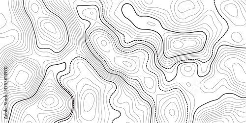 Topography and geography map grid abstract backdrop. Business concept. Fish Fillet Texture, Salmon fillet texture, fish pattern. paper texture. Topographic contour map. Vector cartography illustration