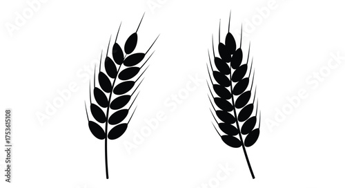 Simple black and white illustration of two wheat stalks on a white background