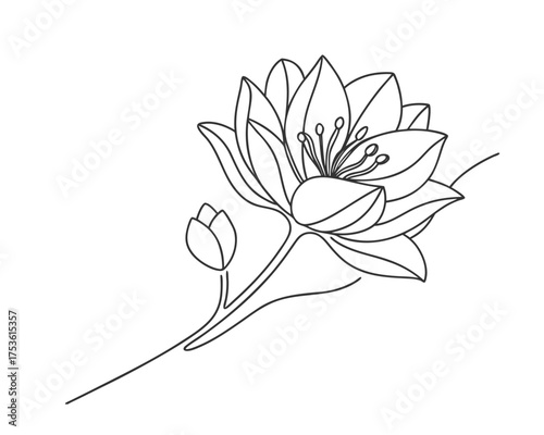 Elegant Single Line Drawing of Lily Flower with Bud Botanical Illustration Simple Floral Design Aesthetic Minimalist Art Print Home Decor Artwork