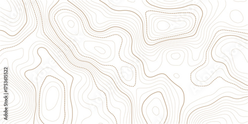 Topography and geography map grid abstract backdrop. Business concept. Fish Fillet Texture, Salmon fillet texture, fish pattern. paper texture. Topographic contour map. Vector cartography illustration