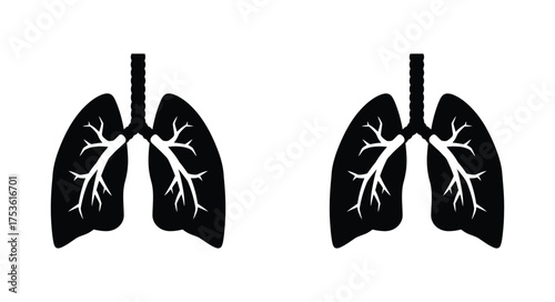 Detailed illustration of human lungs showcasing branching airways and structure