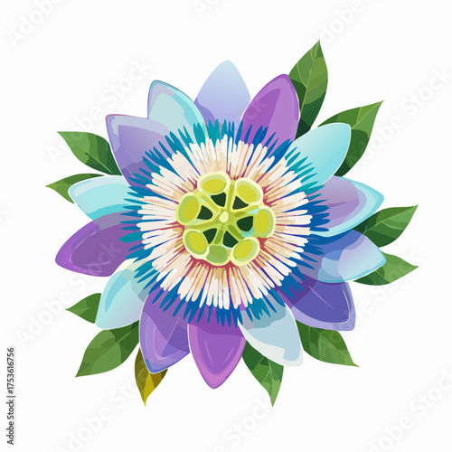 Passionsblume in exotischer Farbkomposition