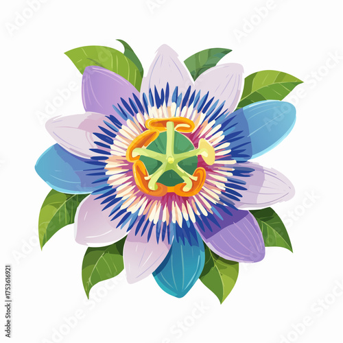 Passionsblume in exotischer Farbkomposition
