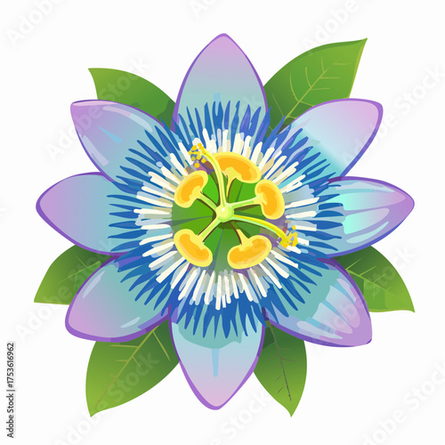 Passionsblume in exotischer Farbkomposition