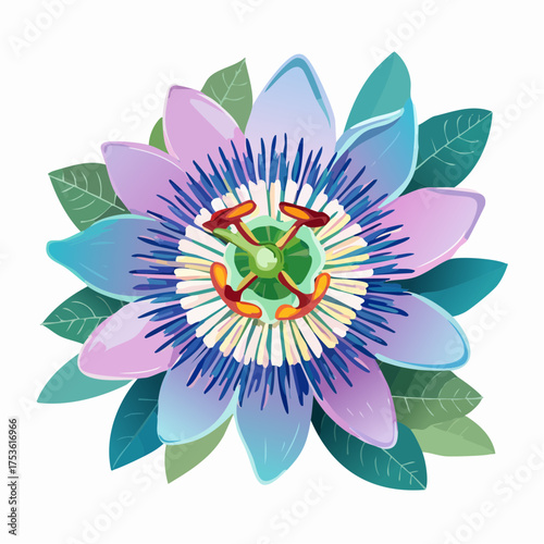 Passionsblume in exotischer Farbkomposition