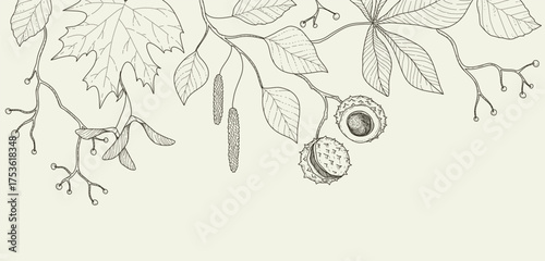 Autumn background or card template with seasonal brunch of plants and fall leaves. Delicate and elegant botanical elements for Hello autumn designs