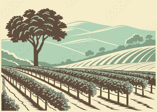 Napa Valley vineyard minimal vector art, elegant travel poster
